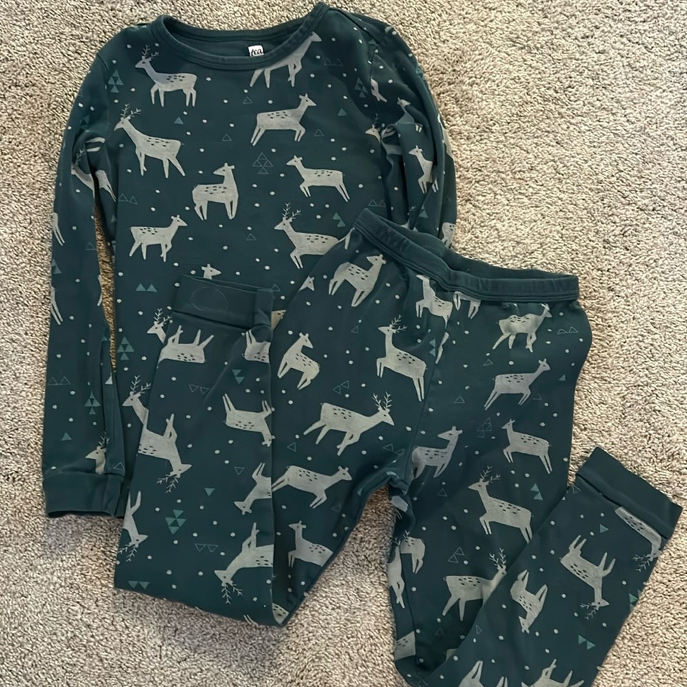 Tea Collection PJs - youth 10